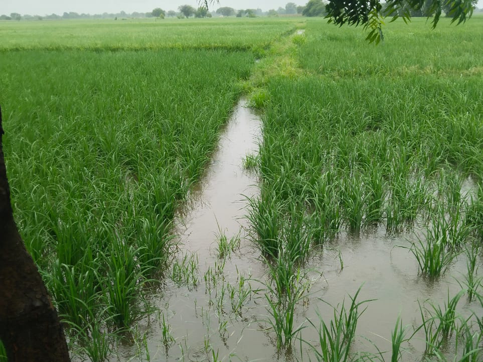 Seksologning qabuli videosi