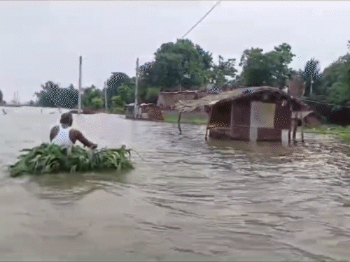 flood water entered 7 panchayats in Diara area of ​​Danapur | दानापुर में  गंगा का जलस्तर डेंजर लेवल के पार: दियारा के 7 पंचायत और स्कूलों में घुसा  पानी; सैकड़ों एकड़ खेत