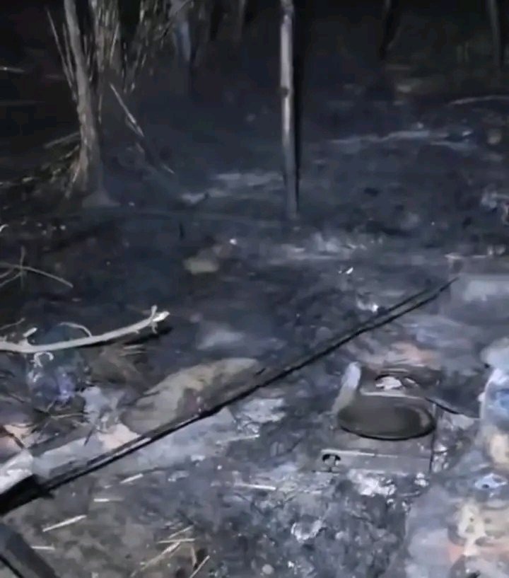 It is being told that more than 80 houses have been set on fire in the village.