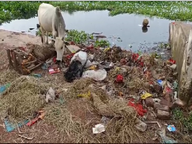 कुरुद तालाब के पास पसरी गंदगी