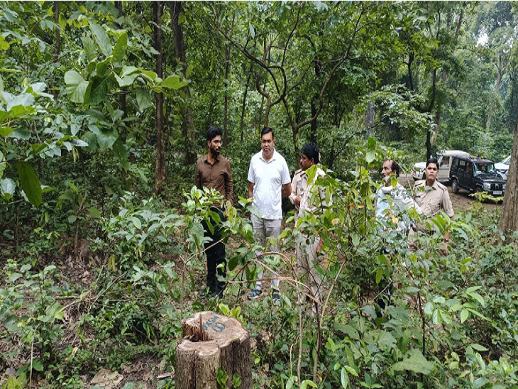 पिछले कई महीनों से सागौन लकड़ी की चल रही थी तस्करी।