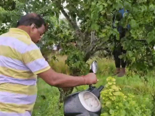 मुक्ती रंजने झाडाला गळफास आत्महत्या केली. त्याचीच कार आणि चूकली.