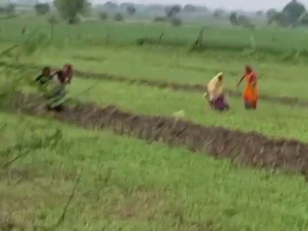 Dispute between sisterinlaw and sisterinlaw over land dispute