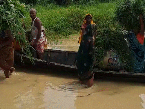 बोटीच्या साहाय्याने गुरांसाठी चारा घेऊन जाताना गावकरी.
