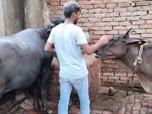 अतुलचे दोन भाऊही आयटीयन आहेत.