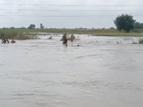 बिहार के सुपौल में शुक्रवार को कोसी नदी में नाव पलट गई। गनीमत रही कि इस हादसे में किसी भी जान नहीं गई। - Dainik Bhaskar