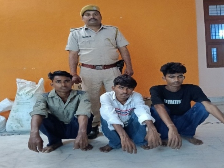 मामचारी थाना पुलिस ने अश्लील फोटो-वीडियो दिखाकर ऑनलाइन ठगी करने के 3 आरोपियों को गिरफ्तार किया है। - Dainik Bhaskar