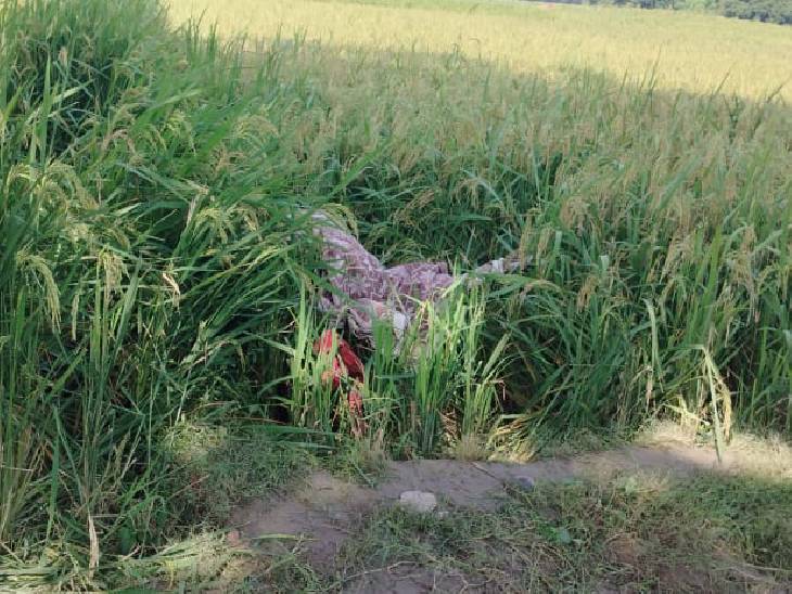 गावातील एका भातशेतीत मुलीचा मृतदेह आढळून आला. त्याच्या शरीराच्या खालच्या भागात कपडे नव्हते.
