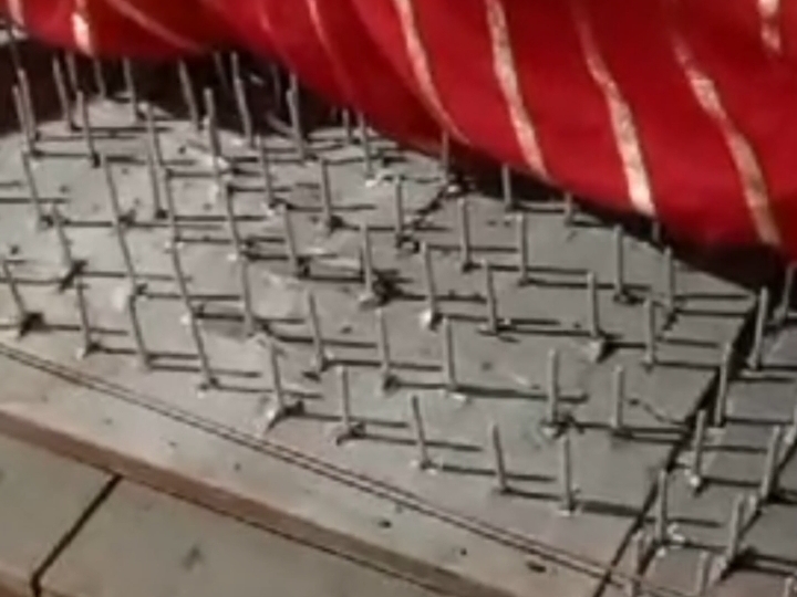 कील की खाट पर लेटकर देवी की उपासना।