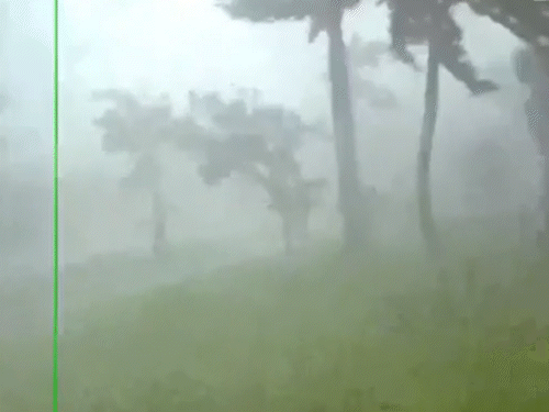 मिल्टन तूफान की ये फुटेज फ्लोरिडा में रहने वाले एक परिवार के घर पर लगे कैमरे में कैद हुई है।