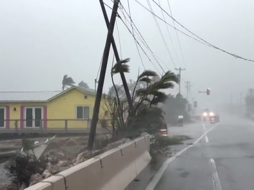 Due to the hurricane in Florida, electric poles have been uprooted at many places.
