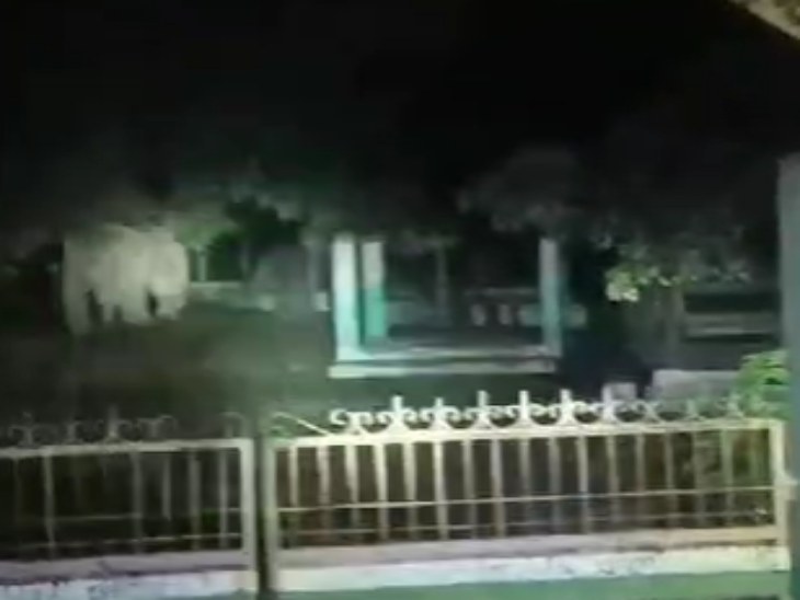 रायगढ़ में गौठान में घुसकर हाथियों ने चिंघाड़ा