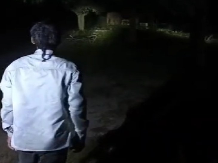 रायगढ़ में हाथियों की खबर मिलने के बाद वन विभाग की टीम मौके पर पहुंची।