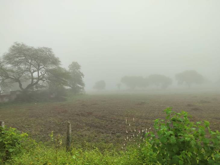 Weather is changing in Indore in 24 hours | इंदौर में सुबह छाया कोहरा, फिर  खिली तेज धूप: पिछले 24 घंटे में लगातार बदल रहा मौसम, सुबह-शाम पड़ रही हल्की  ठंड, आज