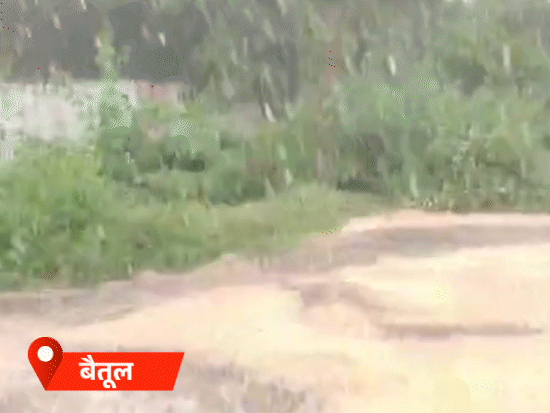 बैतूल में तेज बारिश में मंडी में आया अनाज भीग गया।