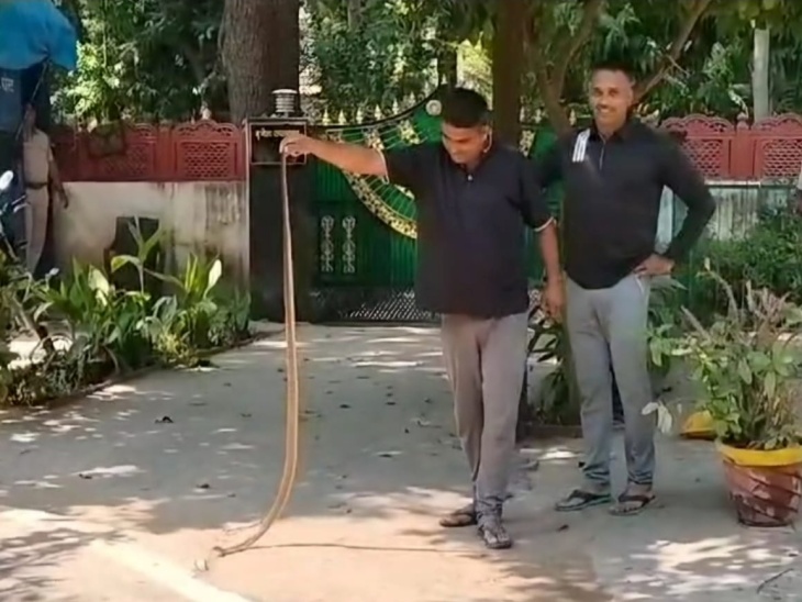 एसपी के आवास परिसर में निकले सांप को पुलिसकर्मियों ने पकड़कर जंगल में छोड़ा। - Dainik Bhaskar