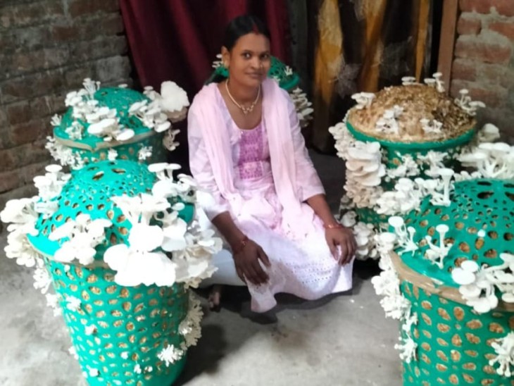 एक महिला बाल्टी में मशरूम लेकर।