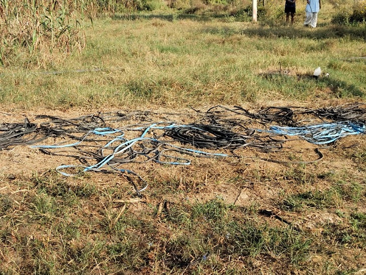खेत से सबमर्सिबल और केबल वायर चोरी - Dainik Bhaskar