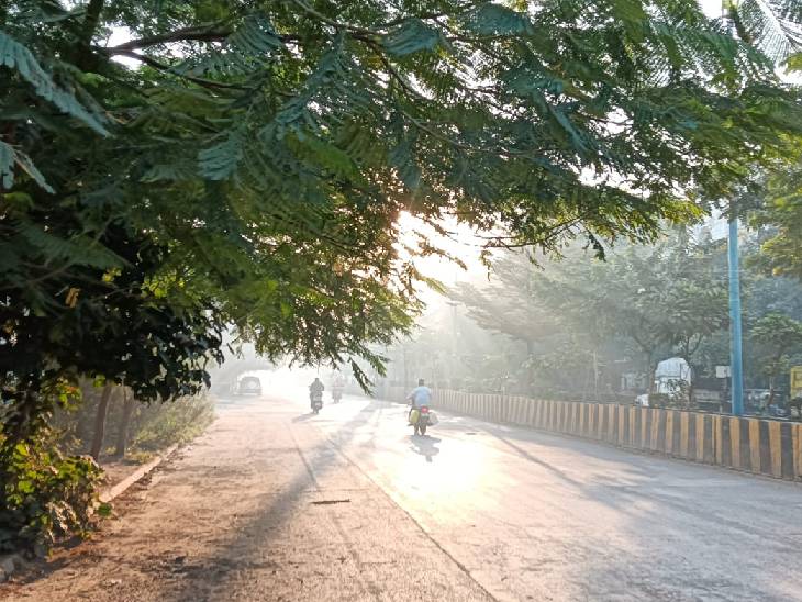 पूरे अक्टूबर में रात का तापमान भी औसत से ज्यादा रहा - दैनिक भास्कर | Dainik Bhaskar