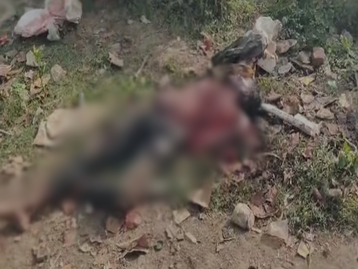 इस मामले में पुलिस कुछ संदिग्धों से पूछताछ कर रही है।