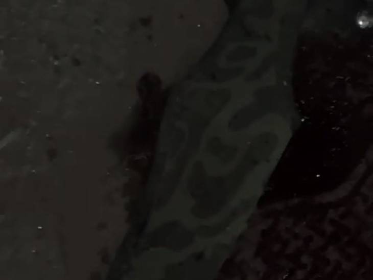 घटना स्थल के पास का एक दृश्य