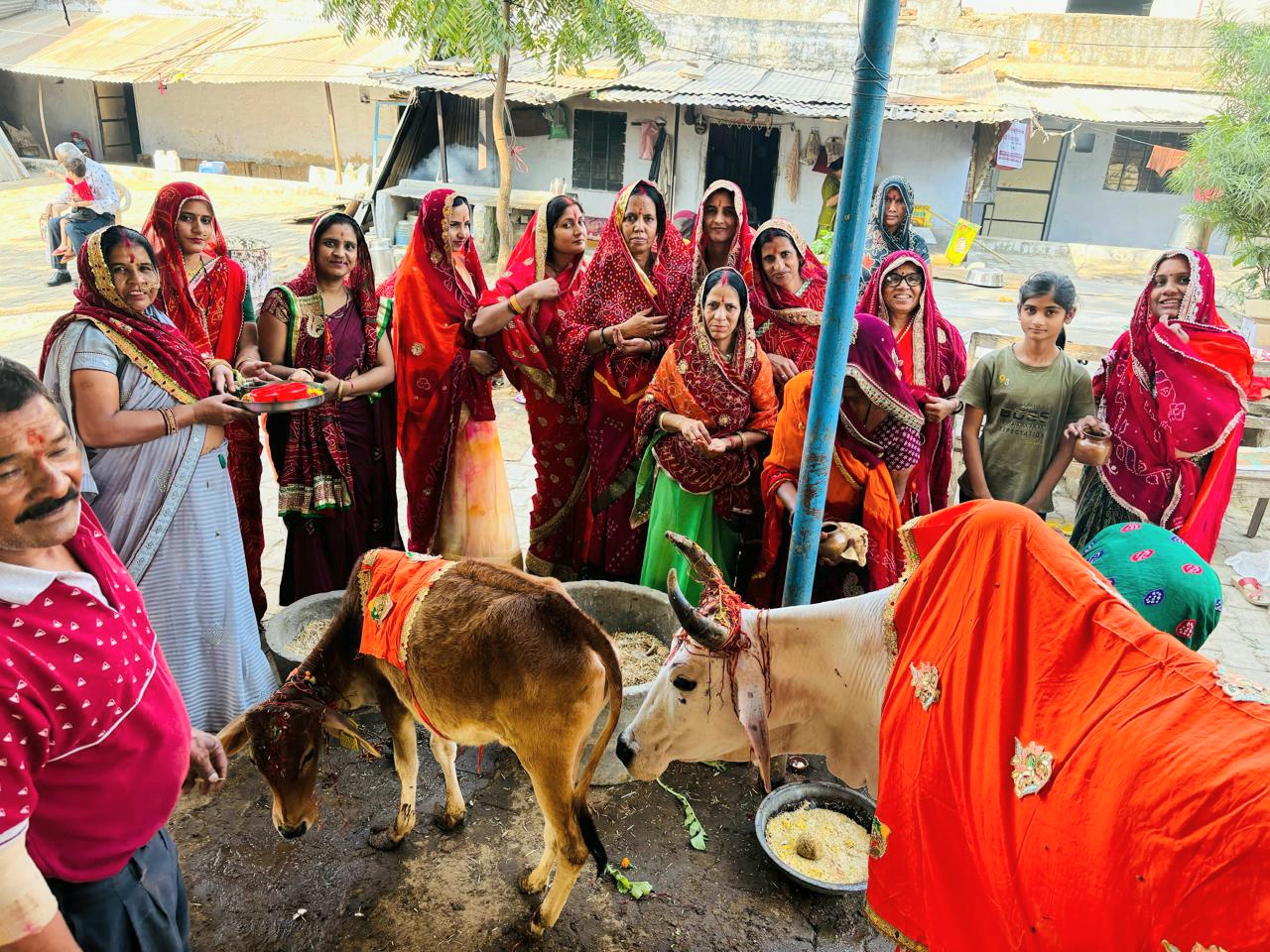 Cow Protector Women worshiped the cow and honoured the cow protectors | महिलाओं ने ...
