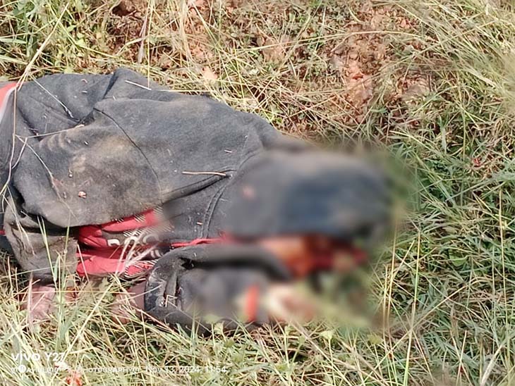 बस्ती से दूर जंगल में बना रखी थी झोपड़ी, सोने जा रहा था तब हाथी से हो गया सामना।