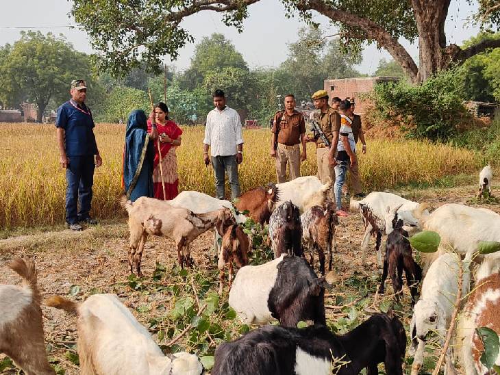 पूजा पाल खेतों में भी जाकर वहां मौजूद लोगों से दीपक पटेल के समर्थन में वोट की अपील करती देखी गईं।