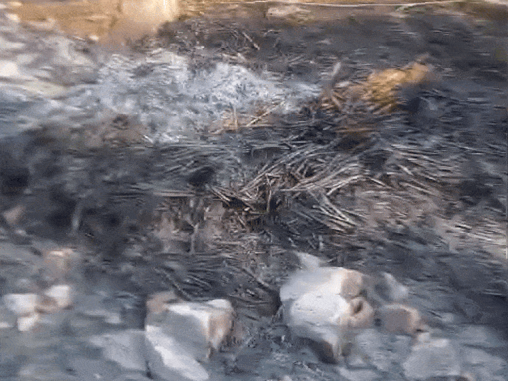 रात को हुई आगजनी के बाद कच्चे घर राख का ढेर बन चुके हैं।