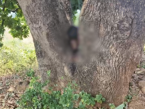 महिला का सिर गांव से 600 मीटर दूर एक पेड़ के तने के बीच रखा मिला।