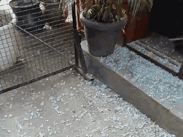 The glass of the club was broken due to the blast. Due to which the glass at the gate was shattered.