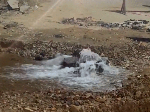 पानी का मीटर और अन्य डिवाइस चोरी करने पर 3 साल तक की सजा और 1 लाख तक का जुर्माना हो सकता है।