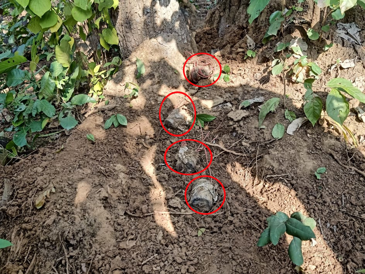 जंगल के रास्ते में लाल घेर में बरामद आईईडी।