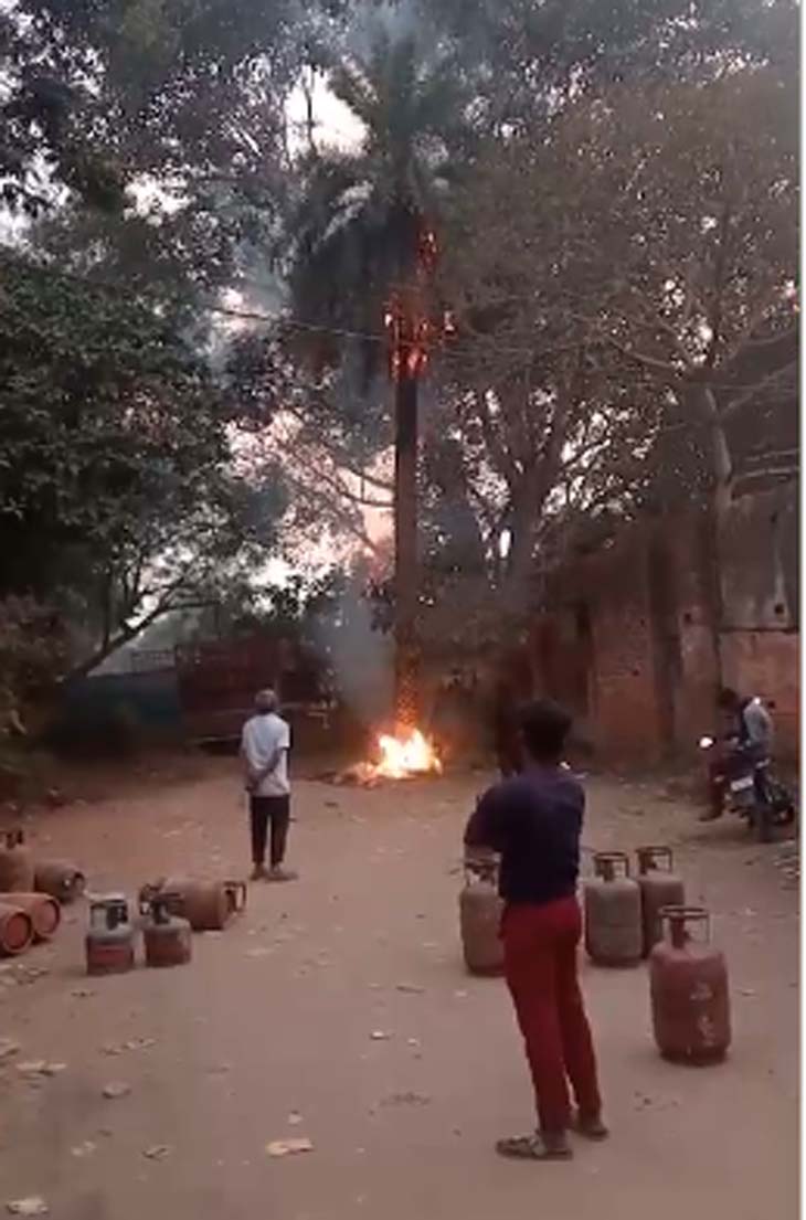 गैस सिलेंडर वितरण जगह पर पेड़ पर लग गई आग