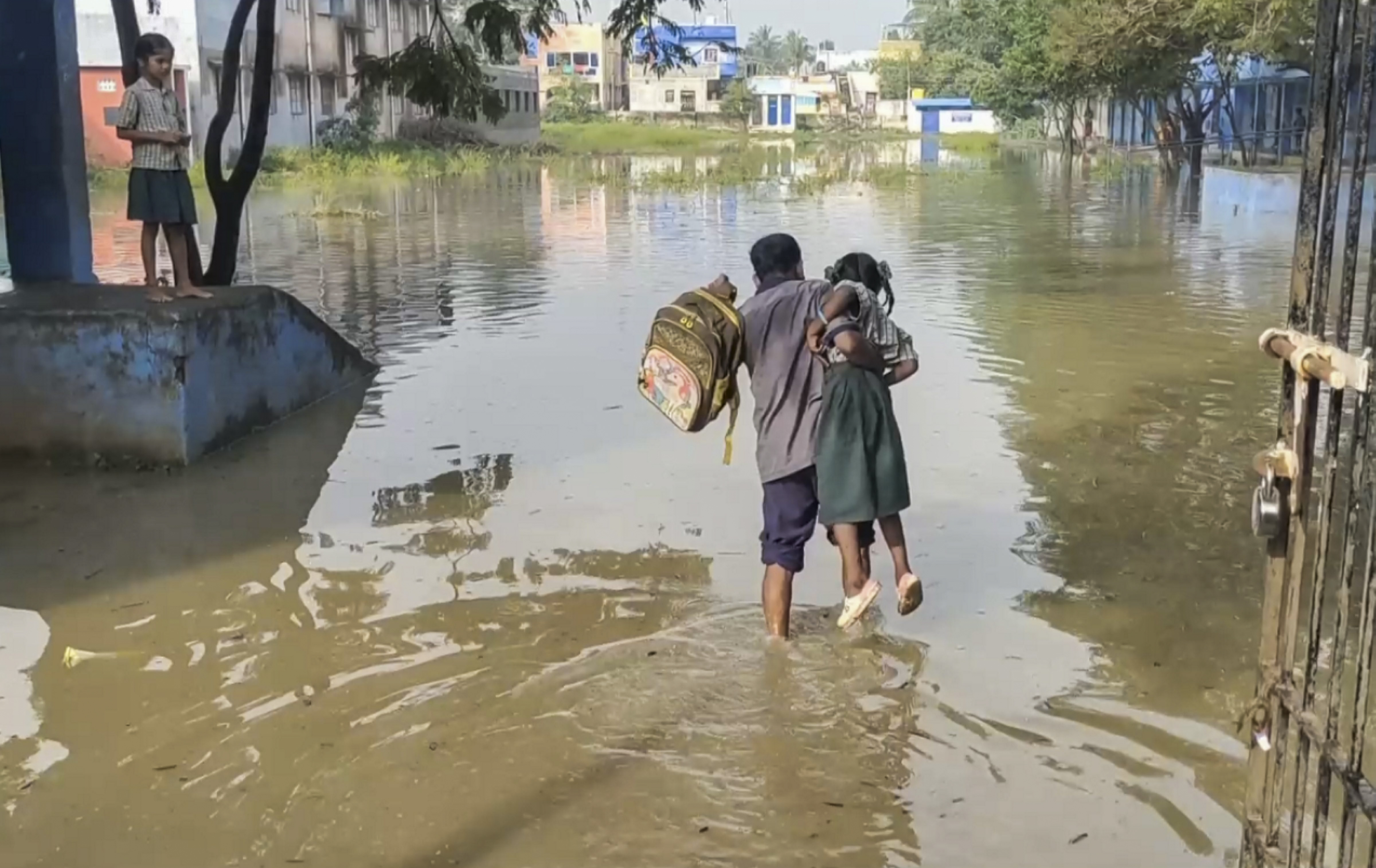 तामिळनाडूतील तिरुवर बळकट मुसळधार पोसण्यासाठी संपूर्ण जाउची अडचण.