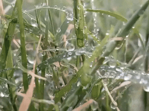 Rajasthan Weather IMD Cold Wave Alert Update; Jodhpur Barmer | Mount Abu |  आज पूरे राजस्थान में शीतलहर चलेगी: जैसलमेर, अलवर सहित ​​​​​​​12 जिलों के  लिए कोल्ड वेव का येलो अलर्ट ...