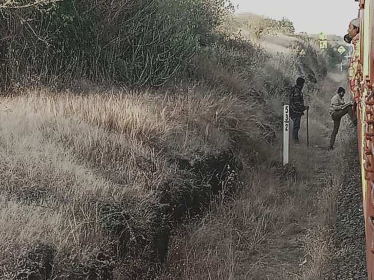 To prevent accidents, a team of forest guards has also been formed by the forest department.