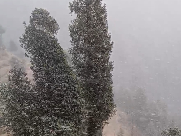 बर्फबारी की तस्वीर