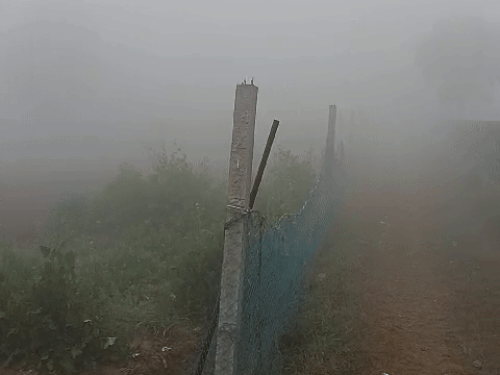 मंगलवार सुबह अलवर में कुछ इस तरह का मौसम था। कोहरे के साथ ही बादलों का डेरा रहा।