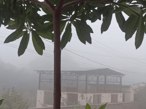 बाड़मेर में भी मंगलवार सुबह कोहरा छाया रहा। सुबह करीब 10 बजे तक विजिबिलिटी 100 मीटर से कम रही।