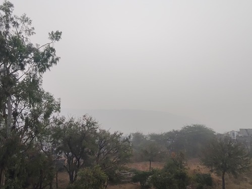 सवाई माधोपुर में बीते तीन दिनों की तरह बुधवार सुबह कोहरा रहा। लगातार कोहरे के कारण सुबह के समय लोगों को काफी परेशानी हो रही है।