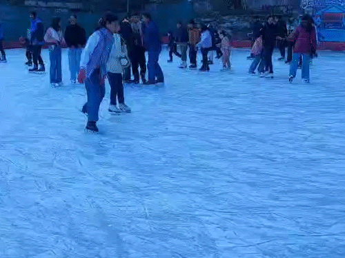Tourists do not forget to enjoy skating in Lakkar Bazar Ice Skating Rink of Shimla. Here tourists can do skiing twice in the morning and evening by paying a fee of Rs 300.