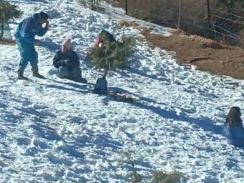 Tourists enjoying amidst snow at Mahasu Peak, about 18 kilometers from Shimla.