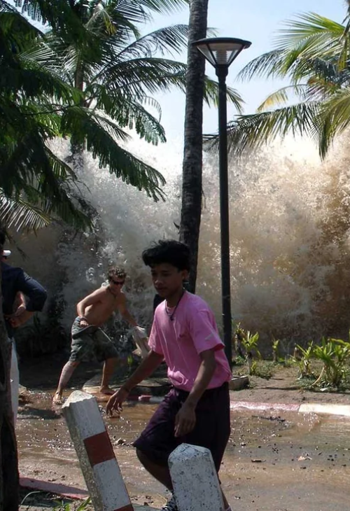 थाइलैंड के क्राबी प्रोविंस में सुनामी की लहरों से बचने की कोशिश करते लोग।