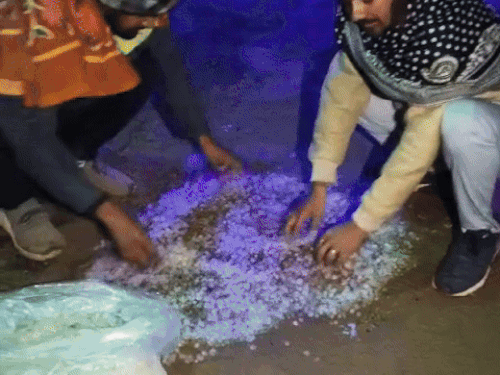 दौसा के बांदीकुई में शुक्रवार आधी रात के बाद हुई तेज बारिश के साथ ओले भी गिरे।