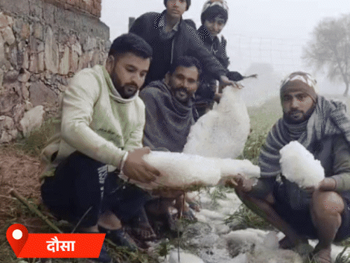 राजस्थान के कई जिलों में शनिवार सुबह घना कोहरा रहा। कुछ इलाकों में देर रात बारिश भी हुई।