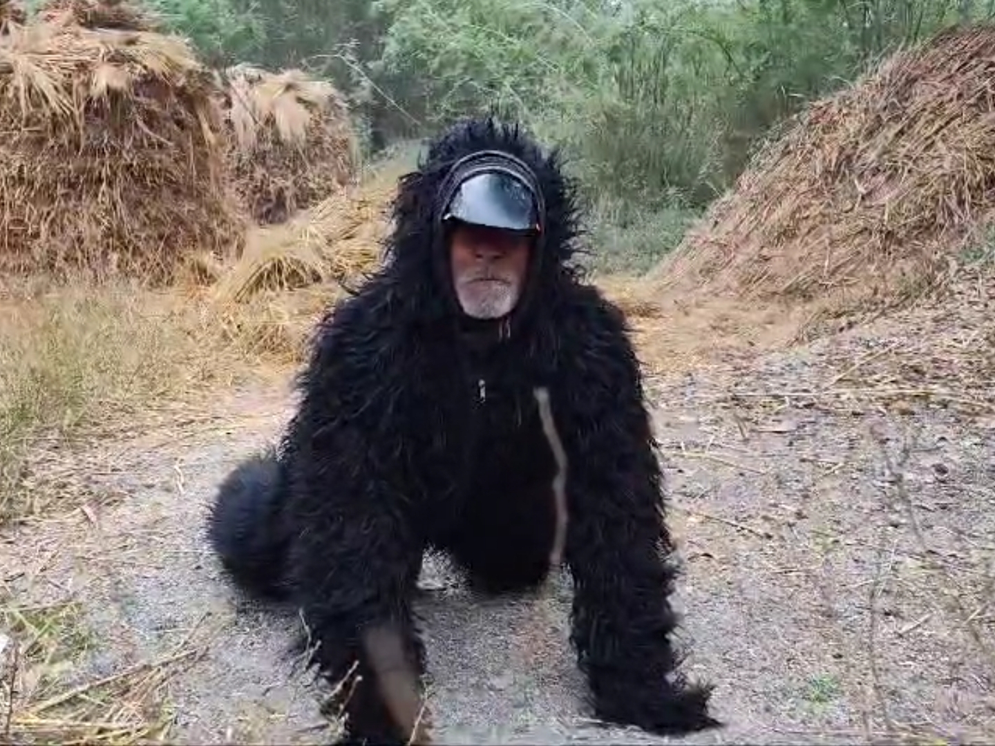 Farmers of a village in Hardoi allege that the administration is not taking any concrete steps to protect the crops from animals.