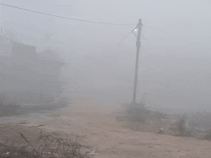 टीकमगढ़ में सोमवार सुबह से घना कोहरा छाया है। सुबह 7:30 तक जीरो विजिबिलिटी रही।