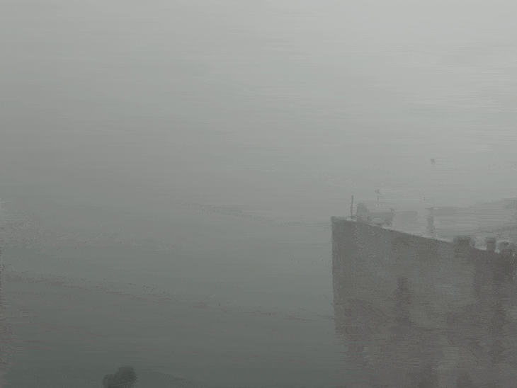 श्योपुर में भी सोमवार सुबह घना कोहरा छाया रहा। इसके चलते विजिबिलिटी बेहद कम रही।