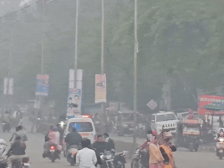 शाजापुर में भी बारिश थमने के बाद सोमवार सुबह तक घना कोहरा छाया रहा।